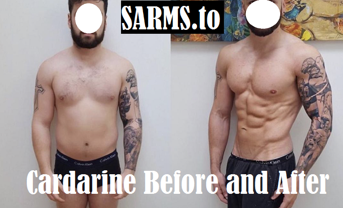 cardarine-before-and-after
