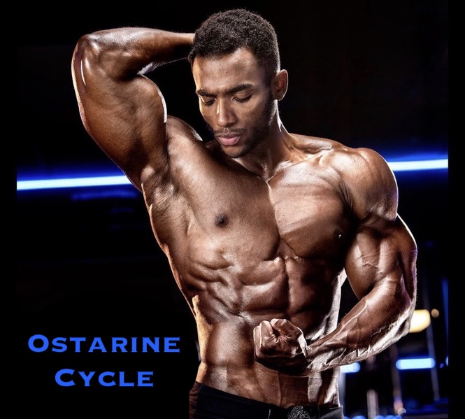 Ostarine-cycle-sarms