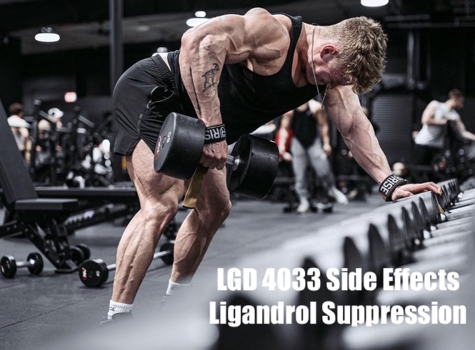 lgd-4033-suppression-sarms