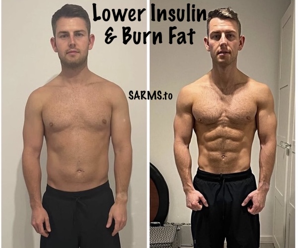 Lower-Insulin-and-Burn-Fat-SARMS